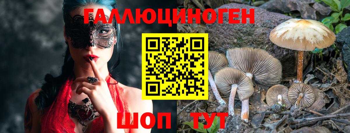 Псилоцибиновые грибы MAGIC MUSHROOMS  Галлюциногенные грибы ЛСД  Вход с VPN  Королёв 